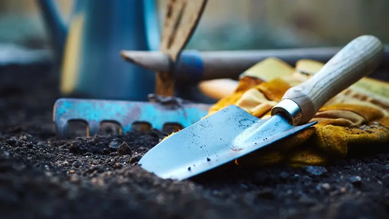 Essential Digging Tools to Help Your Garden Grow